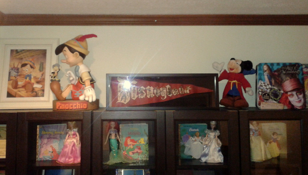 Disney bookshelves