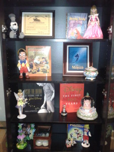 Disney bookshelves 3