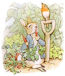 Peter Rabbit