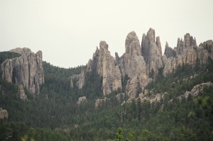 Custer State Park