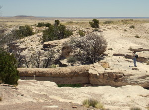 Petrified Forest NP 2011 2