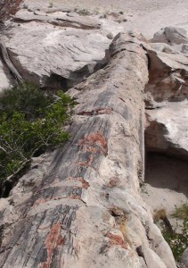 Petrified Forest NP 2011 5