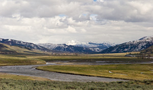 Yellowstone Lamar Valley