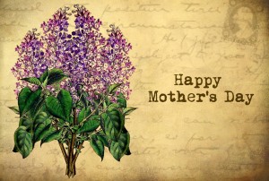 mothers day lilac