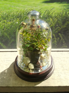 Glass dome arrangement final