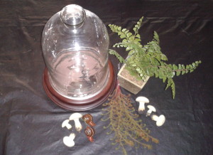 Glass dome arrangement supplies