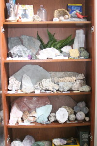 Rock Shelf 2