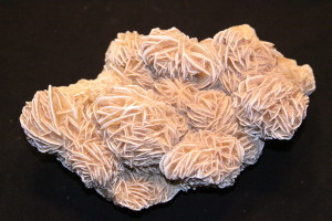 Gypsum Rose