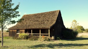Walt's Barn