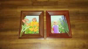 Framed florals - final