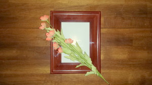 Framed florals - poppies - supplies