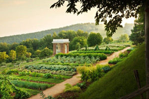Monticello - gardens