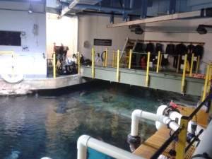 Behind the scenes tour - Fort Fisher NC Aquarium 2