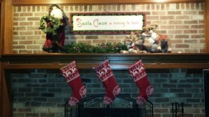 Christmas 2014 - fireplace mantel