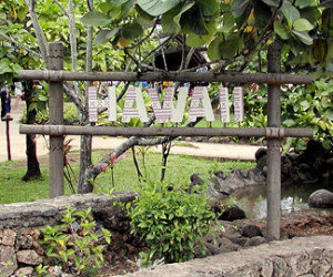 Hawaii sign