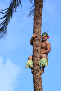 Samoa - tree climber
