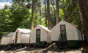 Curry Village - tents