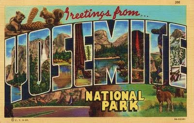 Yosemite - vintage postcard