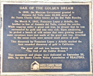 Oak of the Golden Dream