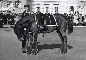 riderless horse - JFK funeral - Black Jack 1