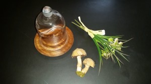Mushrooms under glass - supplies
